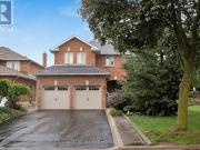 apartment at BSMT 249 DANTE COURT, Vaughan, Ontario, L4L7W8 apartment at BSMT 249 DANTE COURT, Vaughan, Ontario, L4L7W8
