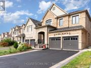 apartment at BASEMENT 243 ELBERN MARKELL DRIVE,...