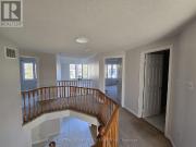 apartment at 135 MOFFATT AVENUE, Brampton, Ontario, L6Y4R8