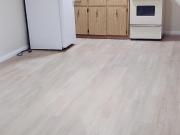 apartment at LOWER UNIT 22 BUENA VISTA AVENUE, Toronto,...