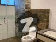 Apartment Available For Rent In High Rise Building On...