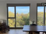 Wohnung zu vermieten in Berlin