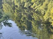 Apartment Dublin Dublin D20 R573 DS68666742