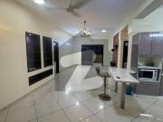 Apartment For Rent Clifton