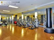 Apartment for Rent in Anaheim, California, Ref# 2274754