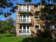 apartment for rent in Burns Road, Crookesmoor,...