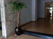 apartment for rent in ESTADOS UNIDOS 1770 3º SAN...