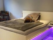 Apartment for rent in Hamburg Wandsbek, Hamburg