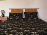 Apartment for Rent in Hyderabad, Andhra Pradesh, Ref# 19351