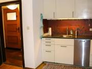 Apartment for rent in Koppl, Salzburg region