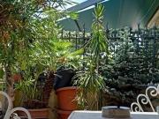 Apartment for rent in Milano Zona 2 Stazione Centrale,...