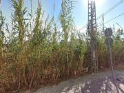 Apartment for rent in Murcia