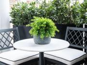 Apartment for rent in Prince Of Wales Terrace, London