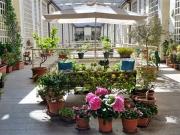 Apartment for rent in Roma Municipio VII – Appio...