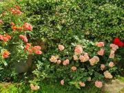 Apartment for rent in Roma Municipio X – Ostia/Acilia, Rome