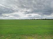 Apartment for rent in Strasbourg