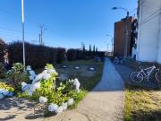 apartment for rent in Valdivia, VALDIVIA