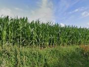 Apartment for rent in Valenciennes