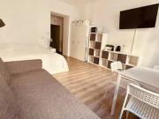 Apartment for rent in Vienna Alsergrund, Vienna