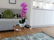 Apartment for rent in Vienna Leopoldstadt, Vienna Apartment for rent in Vienna Leopoldstadt, Vienna