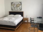 Apartment for rent in Zürich Distrikt 7, Zürich