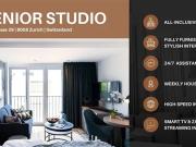 Apartment for rent in Zürich Distrikt 8, Zürich