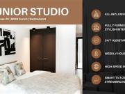 Apartment for rent in Zürich Distrikt 8, Zürich