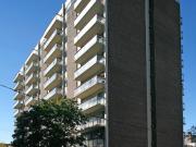 Apartment For Rent Ottawa ON 1360 ES96338351