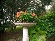 Apartment For Rent Toronto ON 1775 ES89435875