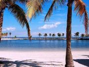 Apartment for Sale in Miami, Florida, Ref# 474288