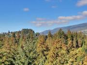 Apartment for sale in Pemberton NV North Vancouver North...