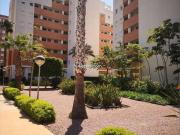 Apartment in Guardamar del Segura, PUERTO, for rent