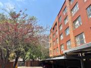 Apartment in Hillcrest