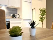 Apartment in Lastenstraße, Graz for 32 m²