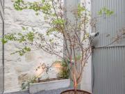 Apartment in Porto Bolhão Trendy Apartment I