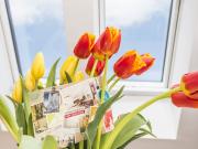 Apartment mit Dachterrasse Ap1