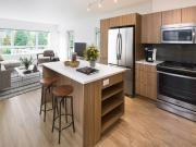 Apartment North Vancouver BC LS91356292