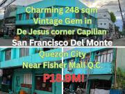 Apartment on 248 sqm lot in San Francisco Del Monte, Q.C