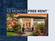 Apartment Ottawa ON 91513976