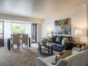Apartment Ottawa ON LS91414265