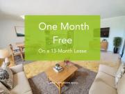 Apartment Toronto ON 100046089