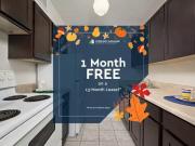 Apartment Toronto ON 70135251