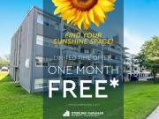 Apartment Toronto ON 94256479