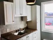 Apartment Winnipeg MB 96590132