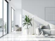 apartment with 4 bedroom, ST KILDA ELS79715707