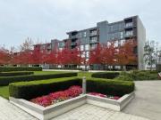 apartmentfor rent in Merrivale Mews, Milton Keynes