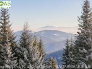 APARTMENTHAUS mit ~ 10% RENDITE | NOCKBERGE | 7...