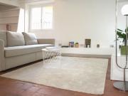 Apartments Florence Guicciardini view