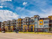 Apartments For Rent In Sw Edmonton The Level Apartment For R