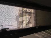 Apparment For Rent In E11 E 11